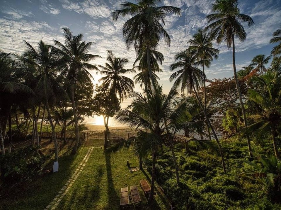 Garden Paradisecove in Sri Lanka