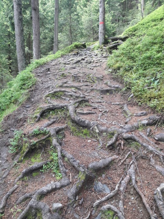 Sport & Freizeit Hotel Kohlerhof