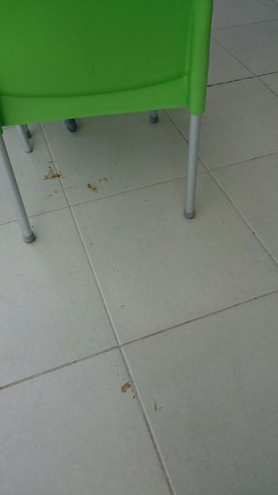 Von Sauberkeit keine Spur  Side Win Hotel & Spa