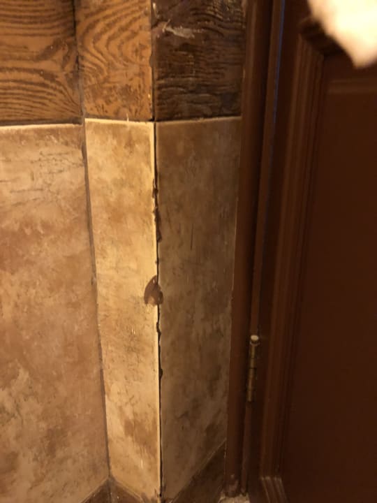 Zimmer Pickalbatros Citadel Resort