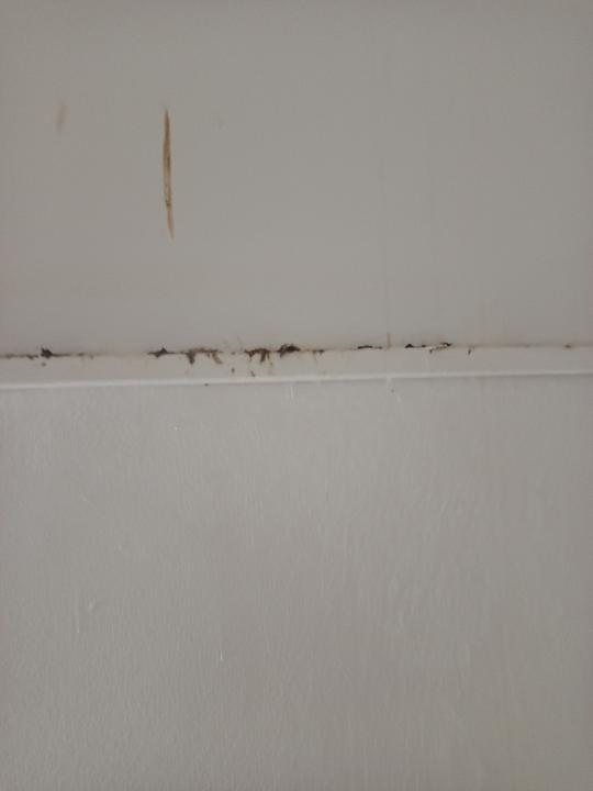 Zimmer Monarque Dar Jerba Zahra