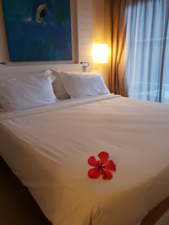 Zimmer Radisson Blu Poste Lafayette Resort & Spa - Adults only