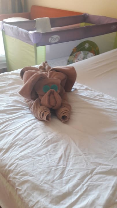 Hund aus Handtücher GRIFID Aqua Club Bolero