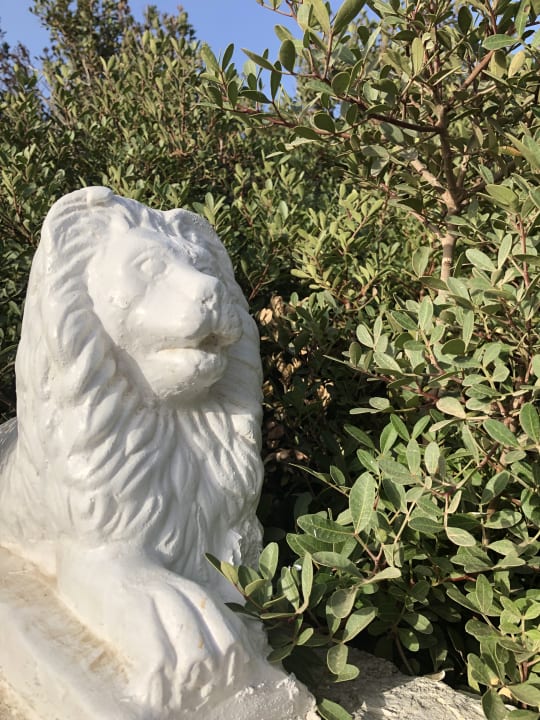 Sonstiges Hotel Kalithea Horizon Royal