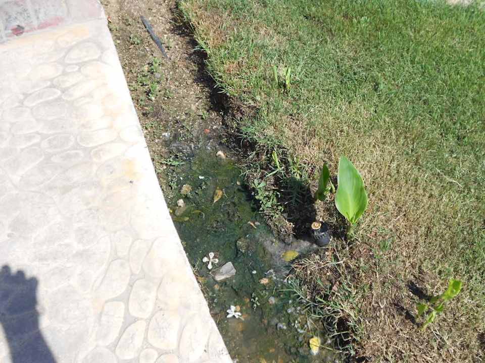 Stinkendes Wasser den ganzen Tag Sentido Caribbean World Soma Bay