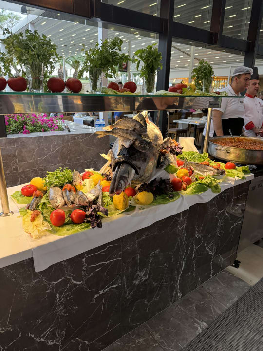 Gastro Monachus Family Resort Sorgun