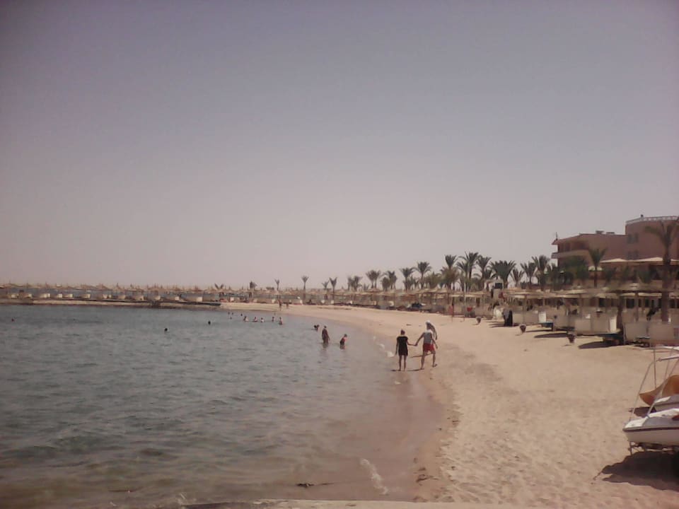 Beach Albatros Resort Beach Albatros Resort