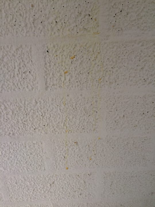 Zimmer Center Parcs Park Zandvoort - Ferienhäuser