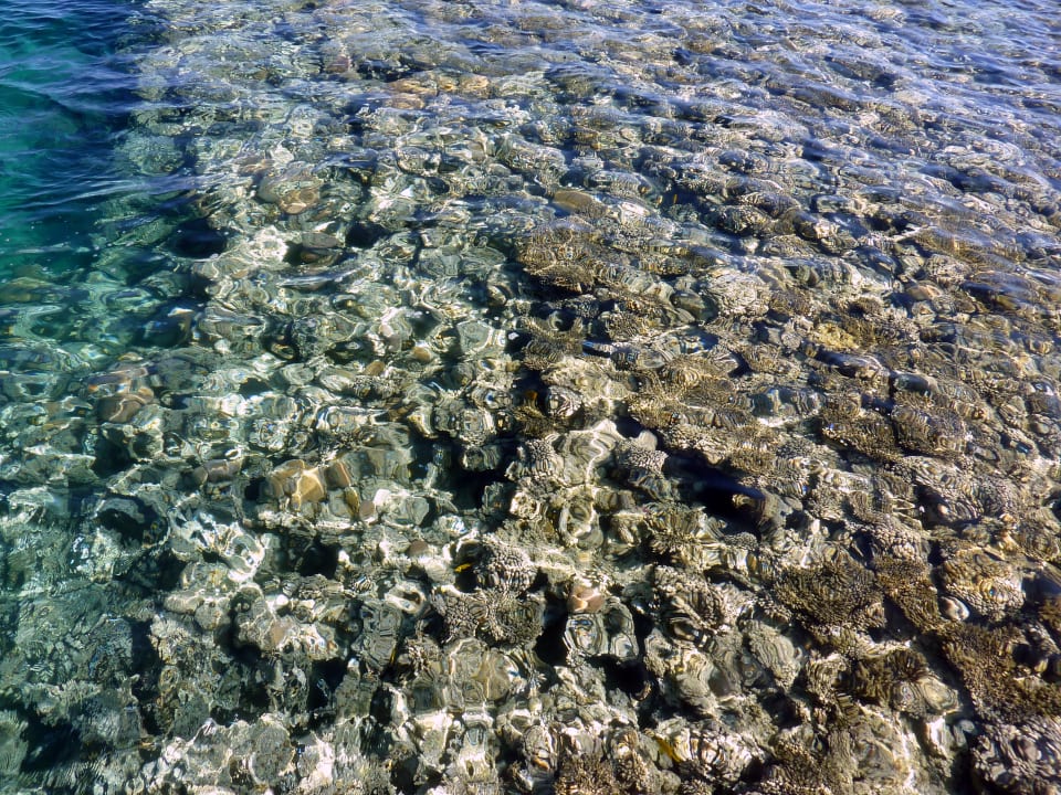 Strand Cleopatra Luxury Resort Makadi Bay