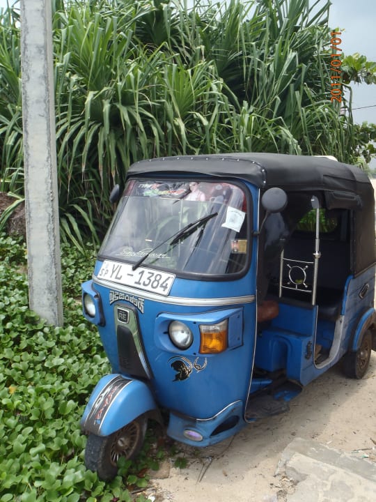 Hotel Taxi Hotel Haus am Meer Wilde Ananas