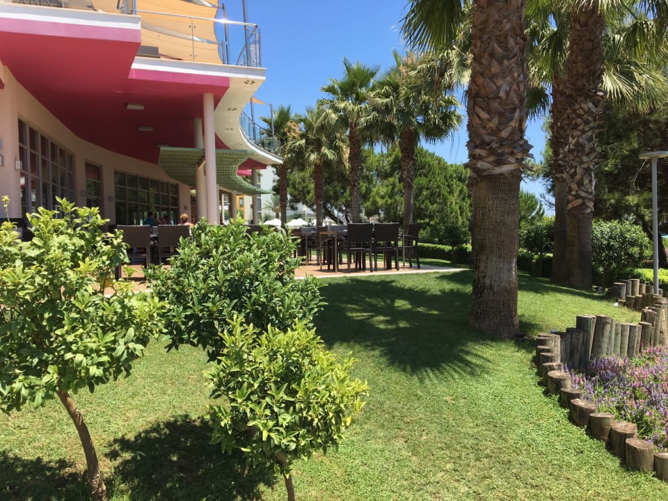 Gastro Akra Sorgun Tui Blue Sensatori