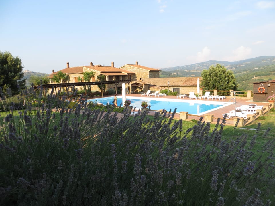 Pool Agriturismo Podere del Vescovo