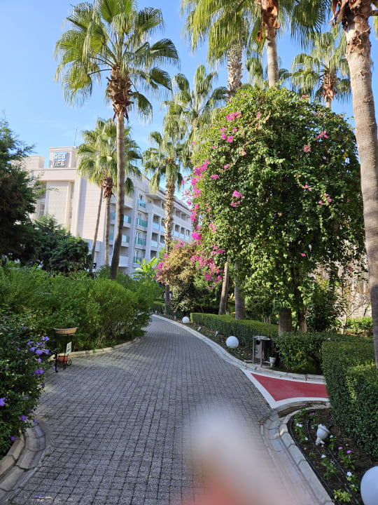 Gartenanlage Sealife Buket Resort & Beach