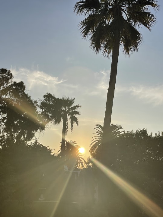 Ausblick The Orangers Beach Resort and Bungalows