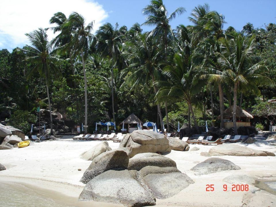 Hotel-Strand Panviman Resort Koh Phangan