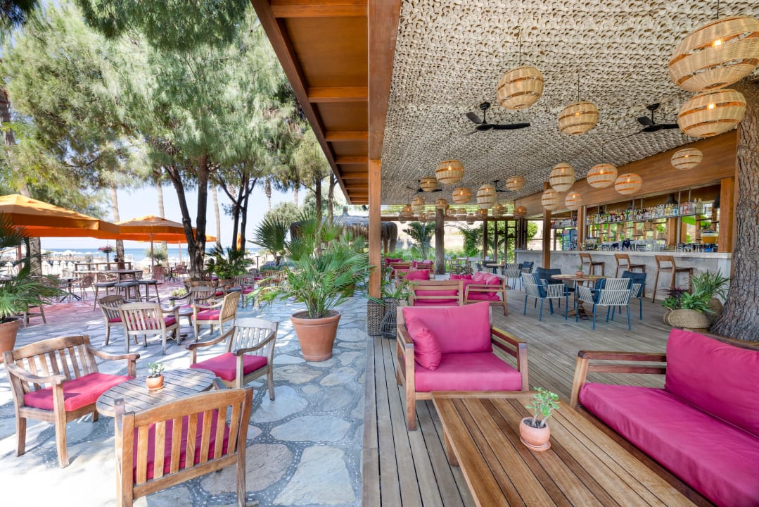 Gastro Arum Barut Collection