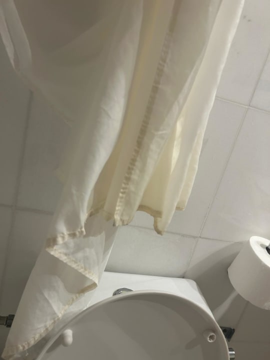 Zimmer Sunshine Rhodes