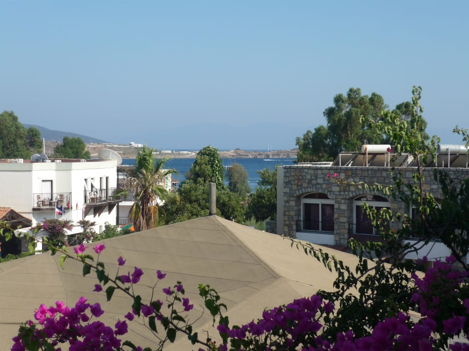 Widok z pokoju na plaze Hotel Ayaz Aqua