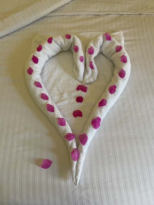 Zimmer Giftun Azur Resort