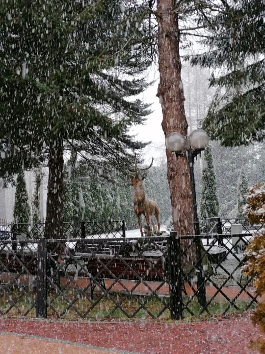 Garten Hotel Pod Jeleniem