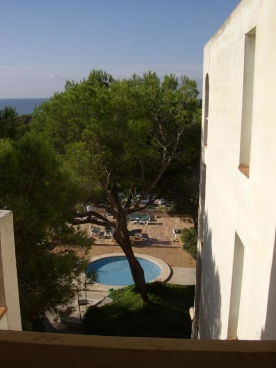 Aussicht vom Dach in die Gartenanlage Aparthotel Houm Plaza Son Rigo