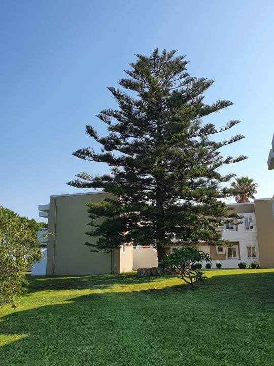 Gartenanlage Corali Hotel