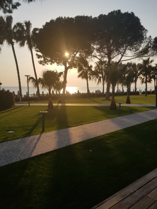 Ausblick Acanthus Cennet Barut Collection