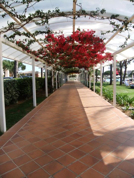 Zugang vom Hotel zur Poollandschaft Hipotels Hipocampo Palace & Spa