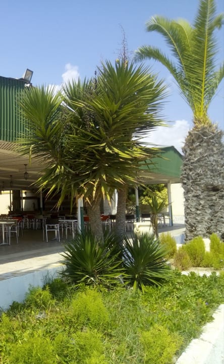 Gastro Hotel El Borj