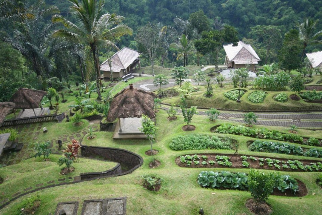 Überblick Hotelanlage Bagus Jati Health & Wellbeing Retreat