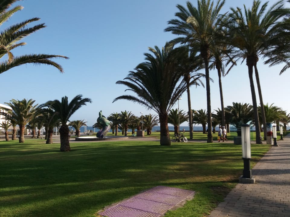 Gartenanlage FBC Fortuny Resort