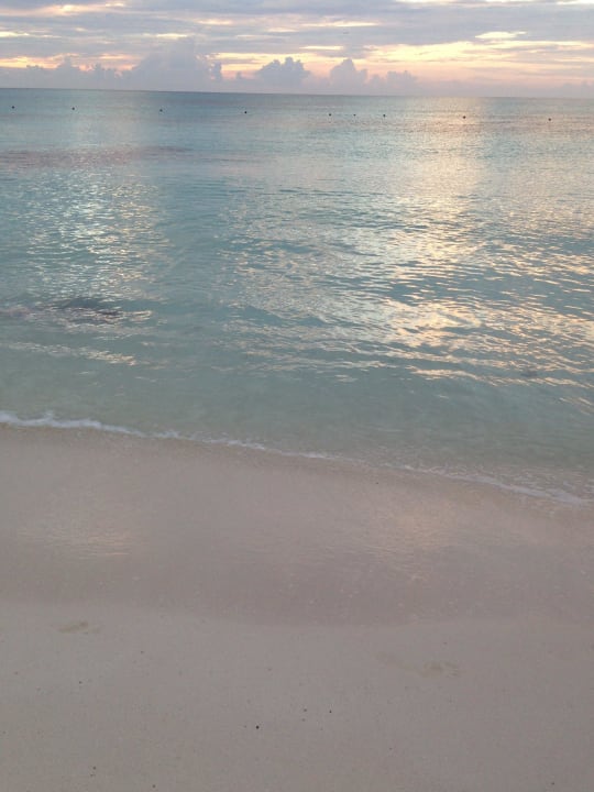 Glasklares karibisches Wasser Iberostar Selection Paraiso Lindo