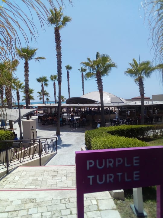 Gastro TUI BLUE Palm Garden