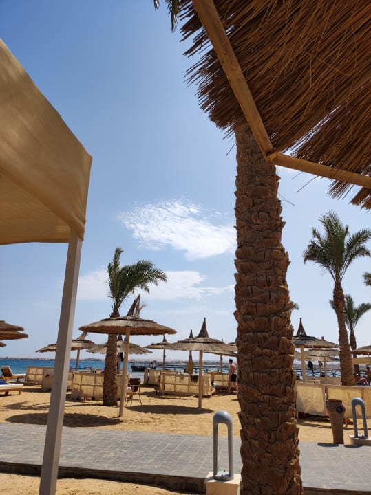 Außenansicht Beach Albatros Resort