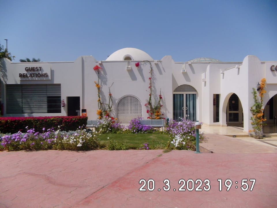 Sonstiges Desert Rose