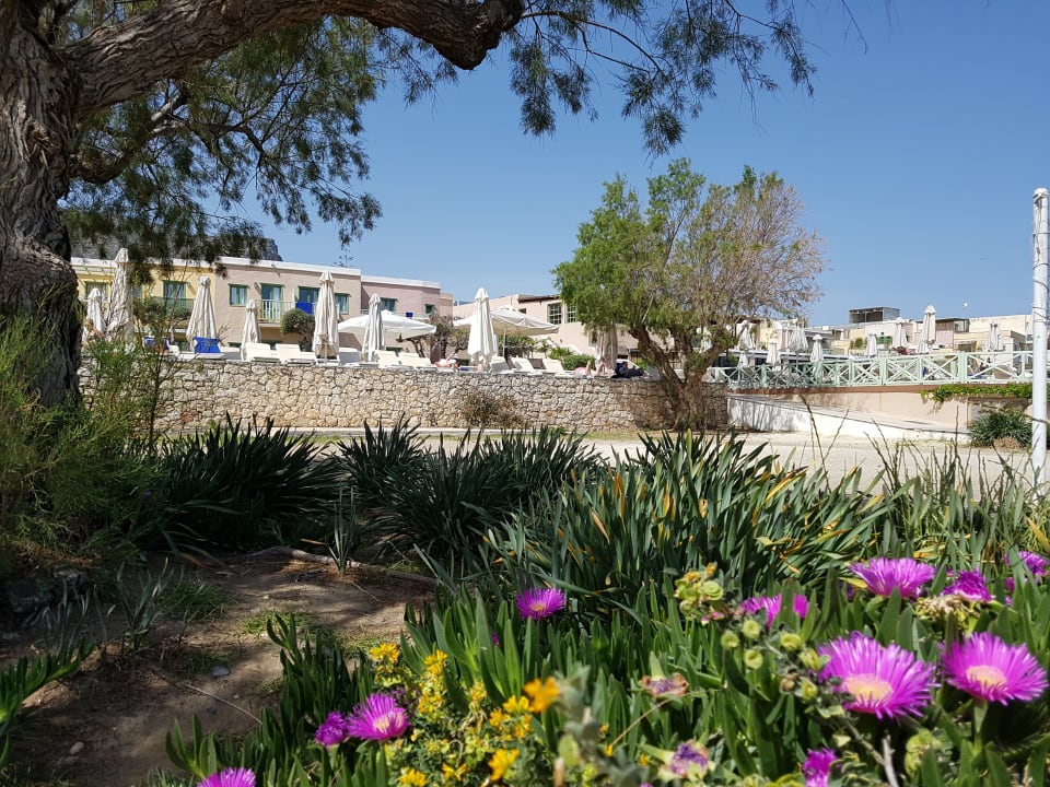 Gartenanlage Silva Beach Hotel