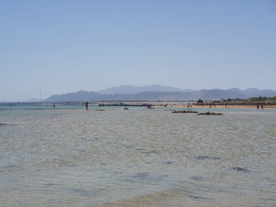 Strand Shams Prestige Abu Soma-Adults Only