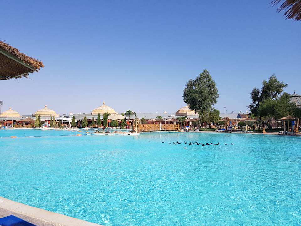 Pool Pickalbatros Jungle Aqua Park Resort - Neverland Hurghada