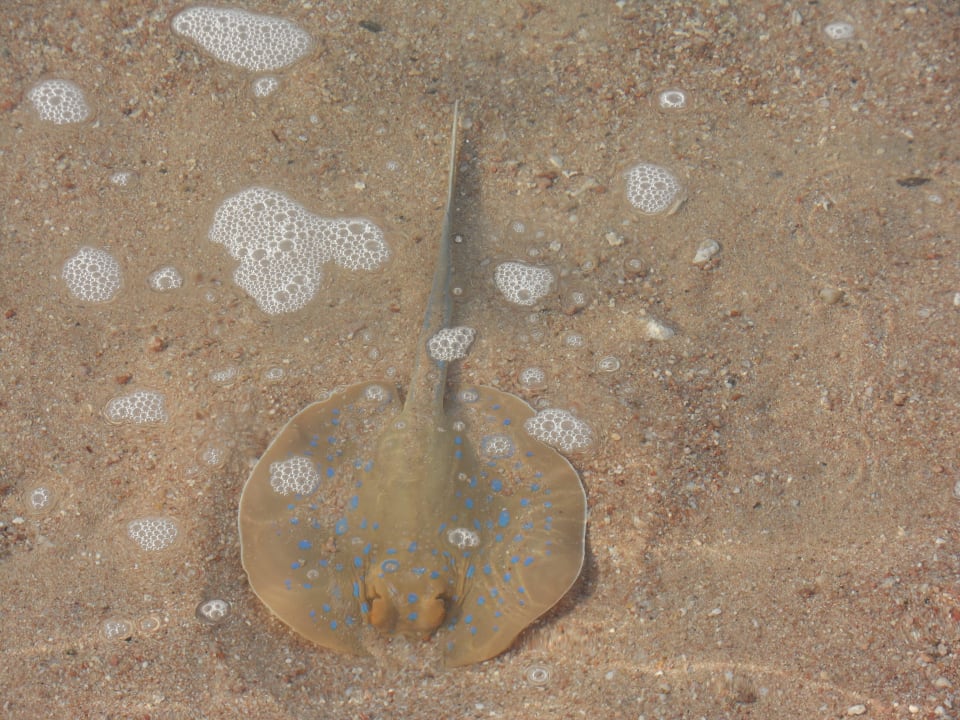 Besuch im Wasser Hotel JAZ Makadi Star & Spa