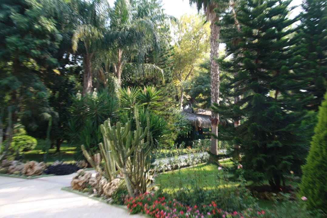 Botanik Botanik Hotel & Resort