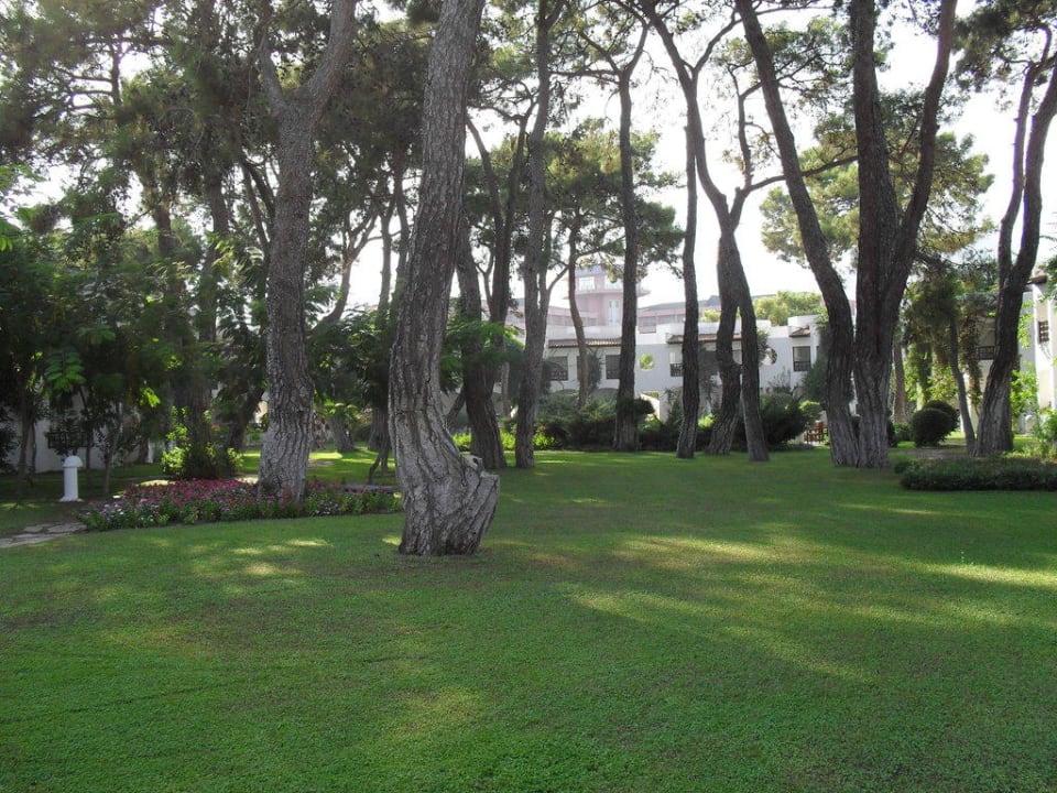 Garten vor dem Zimmer  Emelda Sun Club
