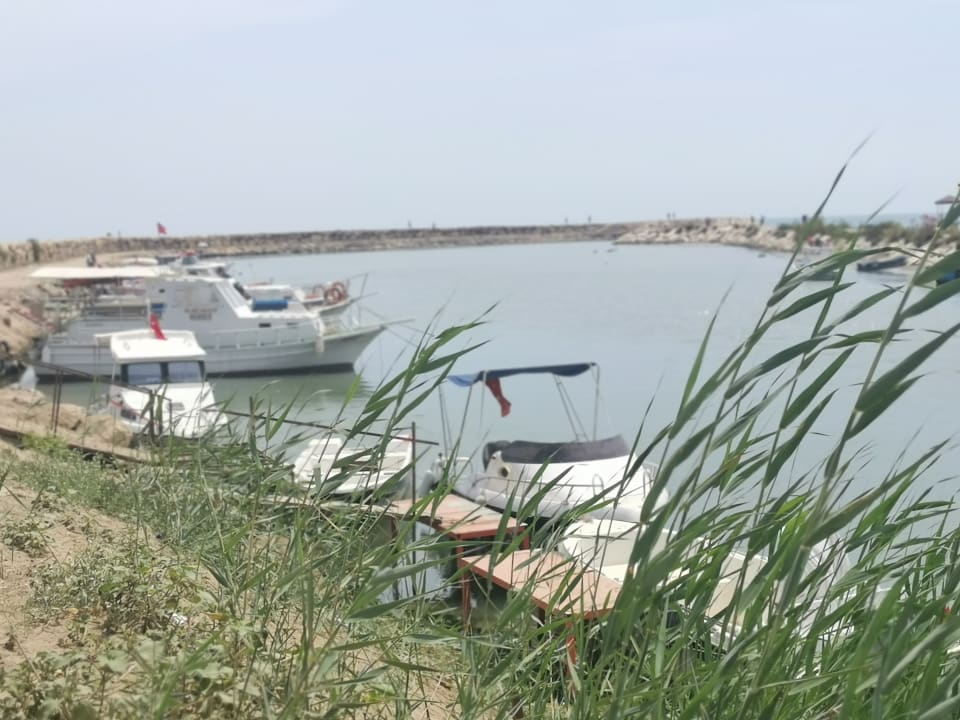 Ausblick TUI BLUE Xanthe