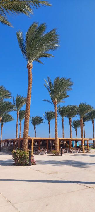 Gartenanlage Stella Beach Resort & Spa Makadi Bay