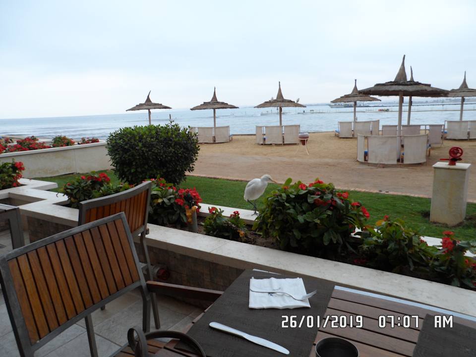 Ausblick Beach Albatros Resort