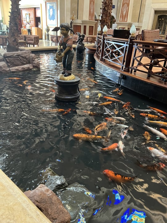 Lobby Palm Royale Resort - Soma Bay