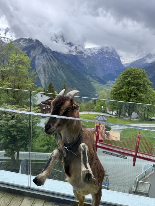 Gartenanlage Märchenhotel Braunwald