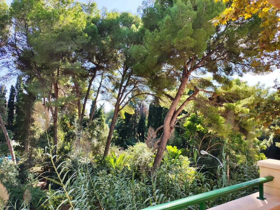 Ausblick Lago Garden