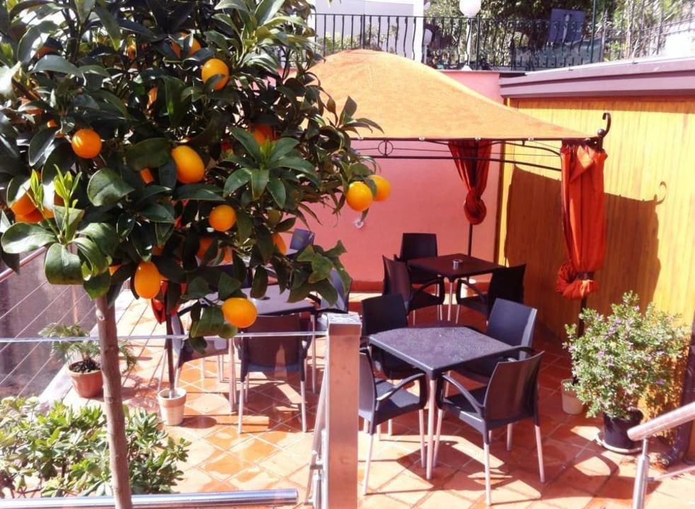 Terrazza  Hotel Borromeo Resort