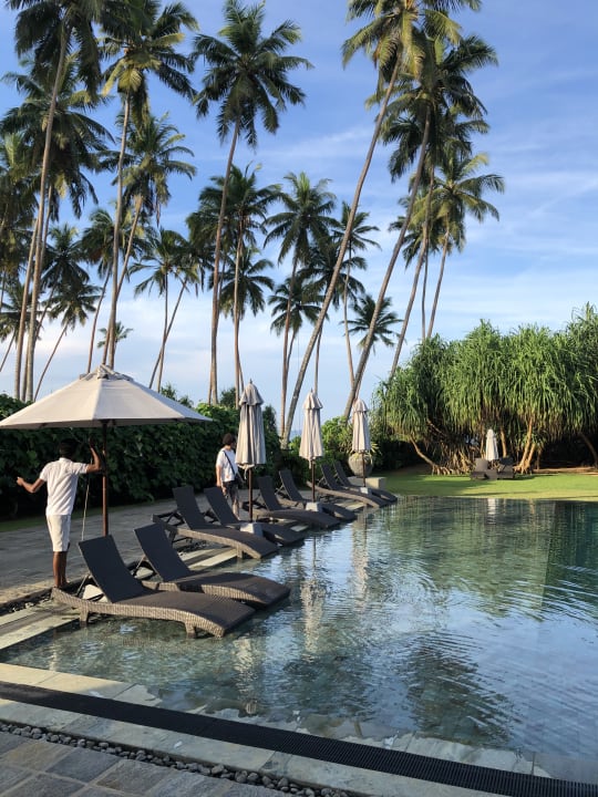 Pool The Habitat Kosgoda by Asia Leisure