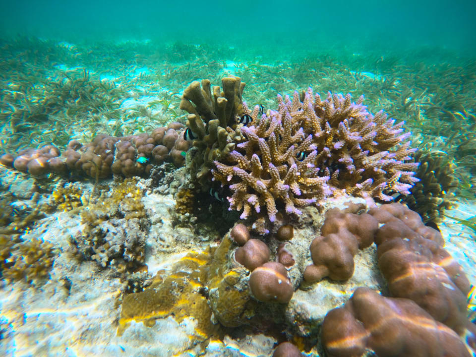 Sosntiges Adaaran Select Hudhuran Fushi - Premium All Inclusive